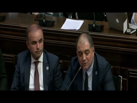 პარლამენტმა ნიკა მელიასთვის იმუნიტეტის მოხსნის საკითხი განიხილა