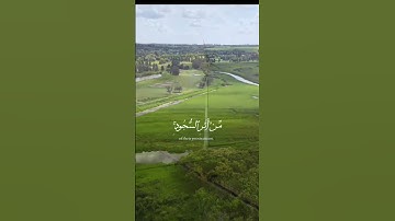 #القرآن_الكريم #الآية 29من سورة الفتح #القارئ الشيخ ياسر الدوسري