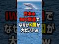 日本のIWC脱退で…なぜかK国が大ピンチw #海外の反応