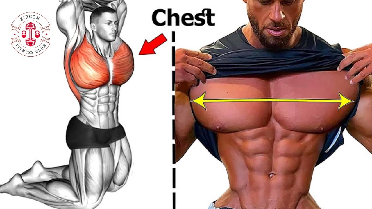 CHEST WORKOUT AT HOME WITH DUMBBELLS - YouTube