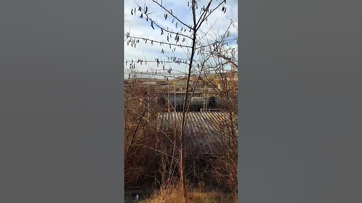 20 февруари 2023 г.
