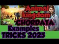 Animal kingdom - CHORDATA/ Examples TRICKS #neet 2025/2026 watch of you needs /  6 minute video😱