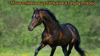 картинка: Қызыл ат пен Шабдардың бәйгесі