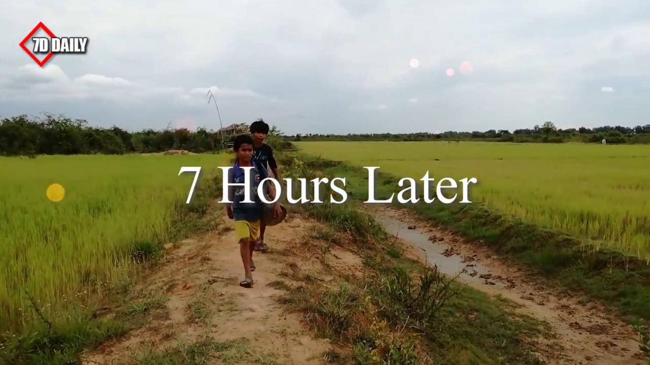 Easy Deep Hole Snake Trap   Amazing Boys Catch Snake With The Bamboo Hole Snake Trap