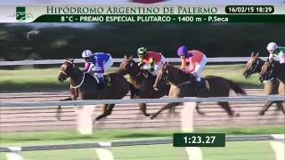 20150216 8 palermo