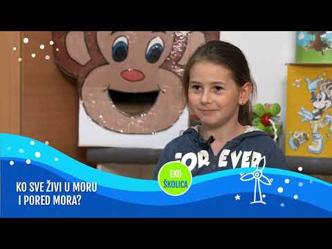 Eko školica S02 E101 Sveti Sava
