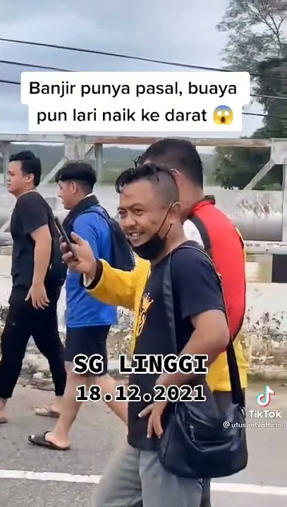 Buaya naik ke darat ..banjir sungai linggi