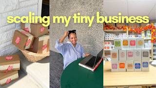 attempting to scale my tiny business // delegation, increasing revenue, & being a smart CEO