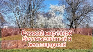 Мгновения русской весны