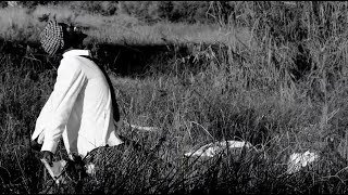 The Madhe  Visualizer