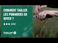 [TUTO] Comment tailler les pommiers en hiver ? – Jardinerie Gamm vert