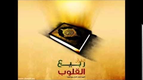 سورة القيامة - تلاوة القارئ الشاب محمد امين بن عافية