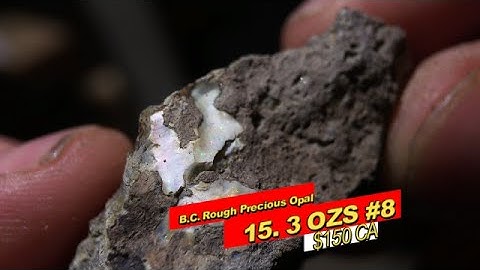 15. 3 Ozs Rough Canadian B.C. Precious Opal #8