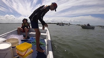 The Prawns Are On!!!