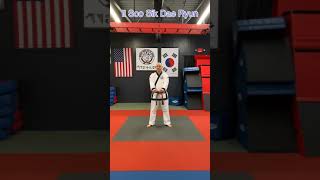 One step sparring techniques feet 16-20