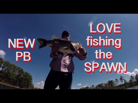 Shearon Harris Bass Fishing (NEW PB)