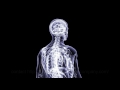 Medical body roation xray 3d animation company human anatomy healthcare animation san antonio 3d vis