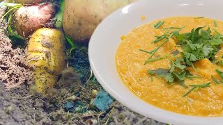 Pick and cook Carrot Soup! Veggie Patch Science Home Workshop - CNRL Library Innovation Studio