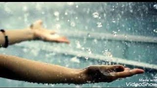 Felaket Yagmur Yadı Ustunede Sesive Goruldusu