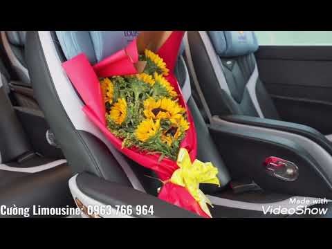 Solati Limousine DCar Hạng Thương Gia 12 ghế. LH: 0963766964 - youtube