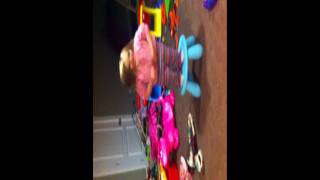 IMG 0781