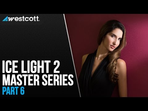 その他 Ice light 2 designed by Jerry Ghionid Westcott University — Ice Light 2 Master Series with Jerry