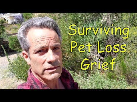 Video: How To Survive The Death Of An Animal