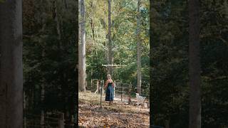 7+ Acre Nashville Farmstead