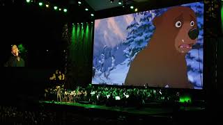 Disney in Concert Wonderful Worlds 2018 WIEN - Bärenbrüder