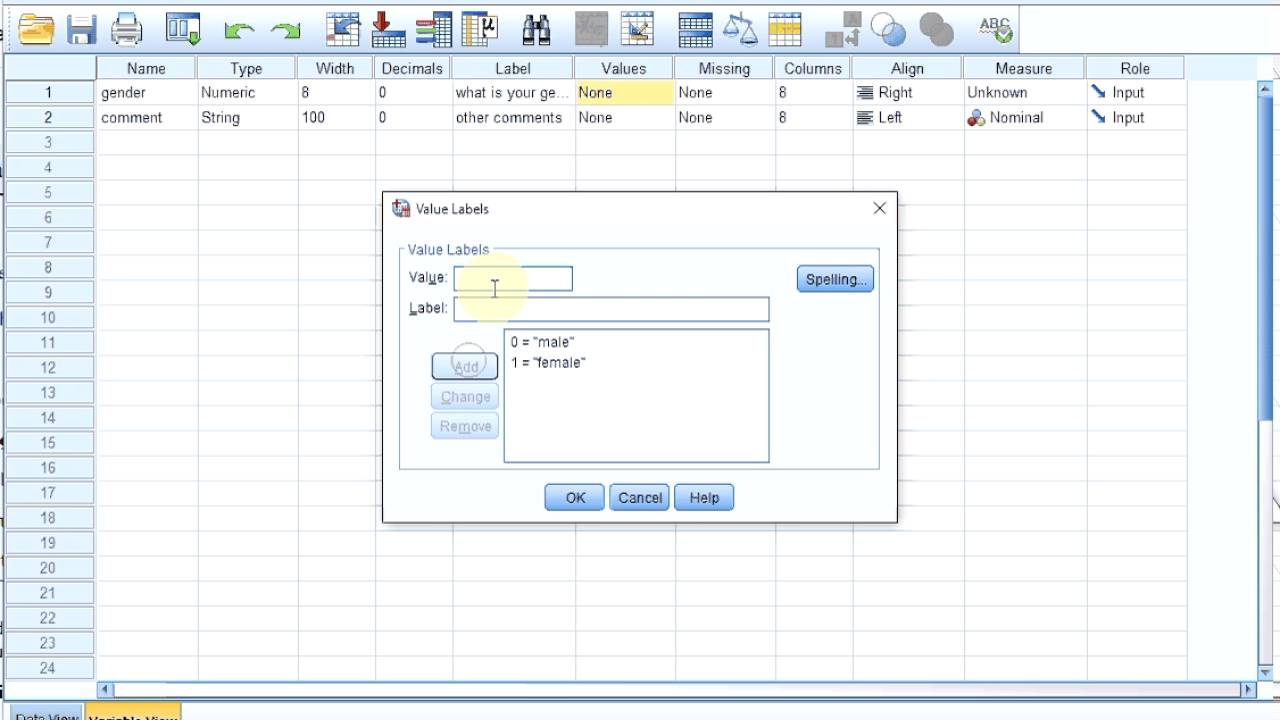 S01E04-1-1 SPSS Basics - The Variable View - YouTube