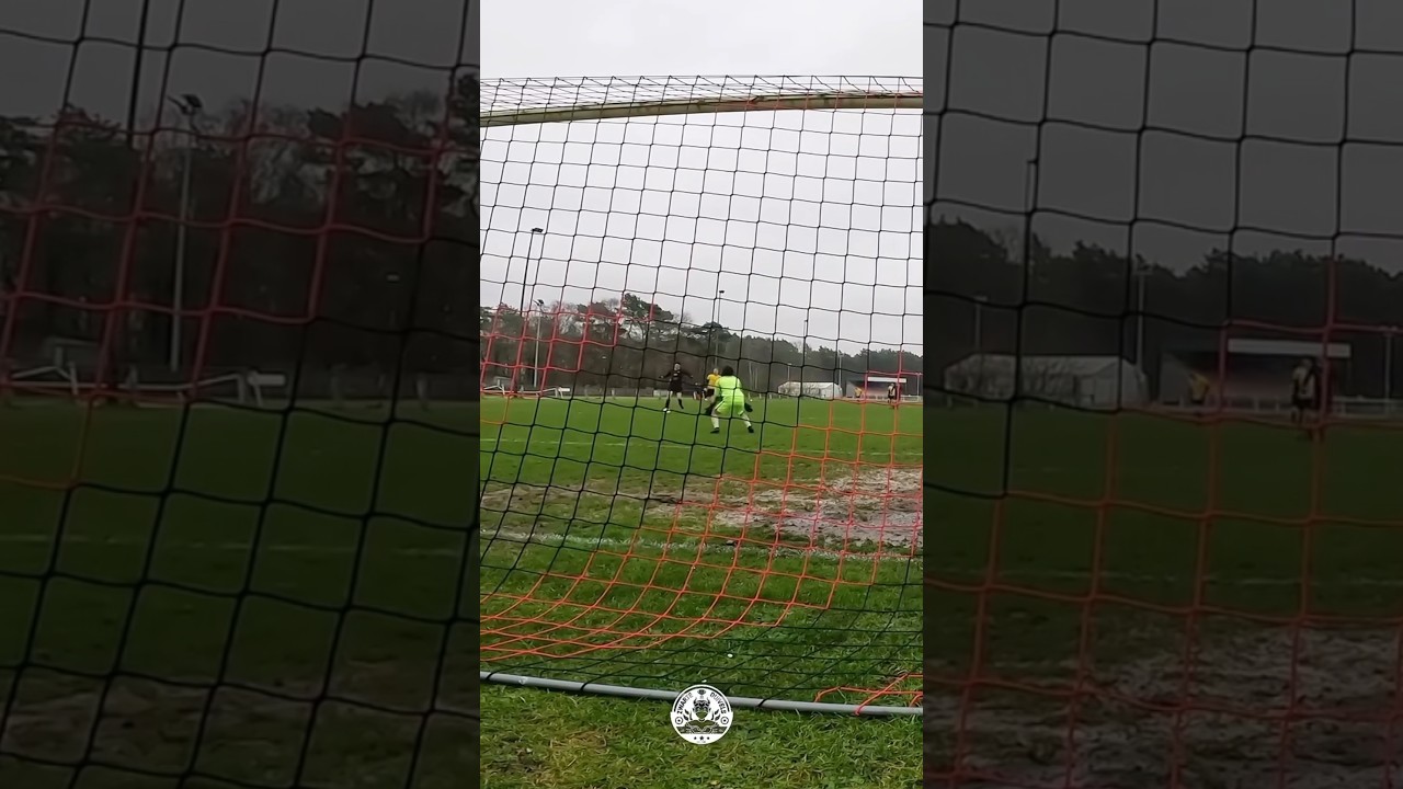 die BESTE Parade😳 (@zwarteduivels)