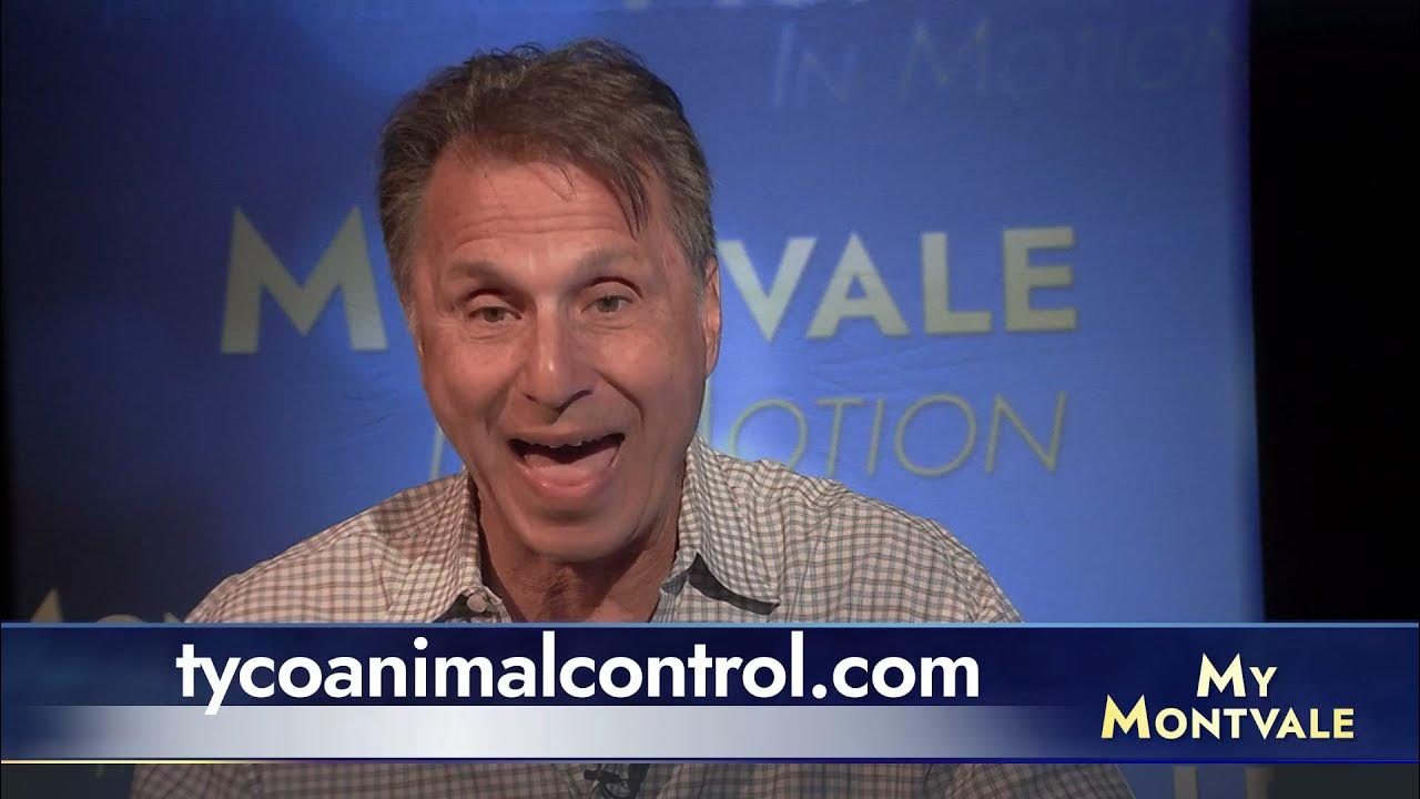 Montvale in Motion Tyco Animal Control YouTube