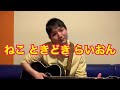 「ねこ ときどき らいおん」 横山だいすけ 三谷たくみ おかあさんといっしょ