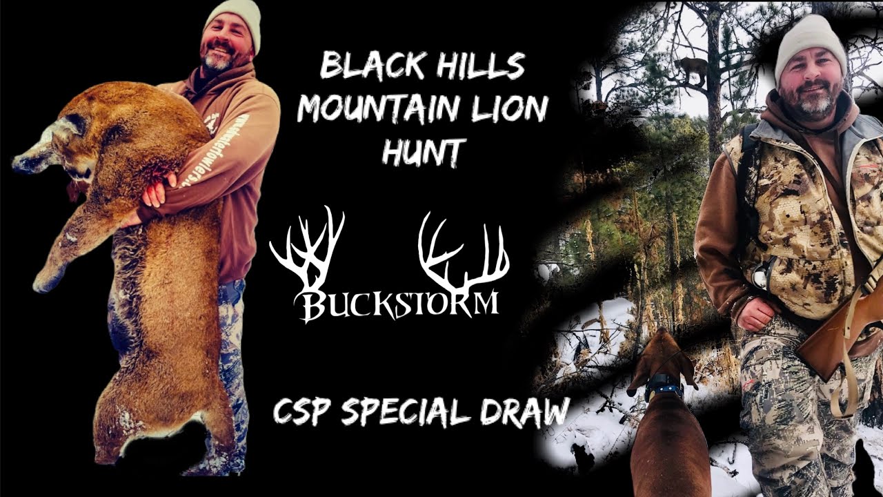 MOUNTAIN LION HUNT SOUTH DAKOTA YouTube