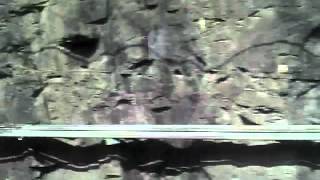 Cityrail Trainride Past Cowan Bank Disused Railway Tunnel