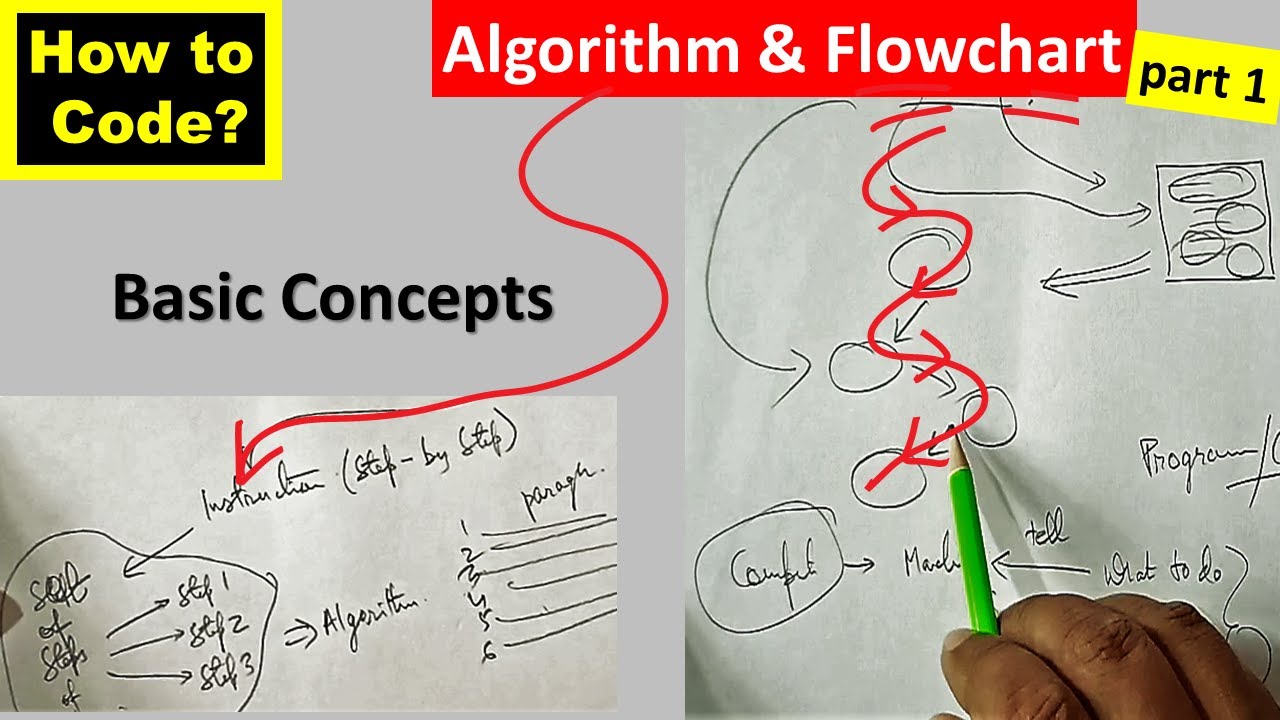 Algorithm & Flowchart (part 1) | CODING Basics - YouTube