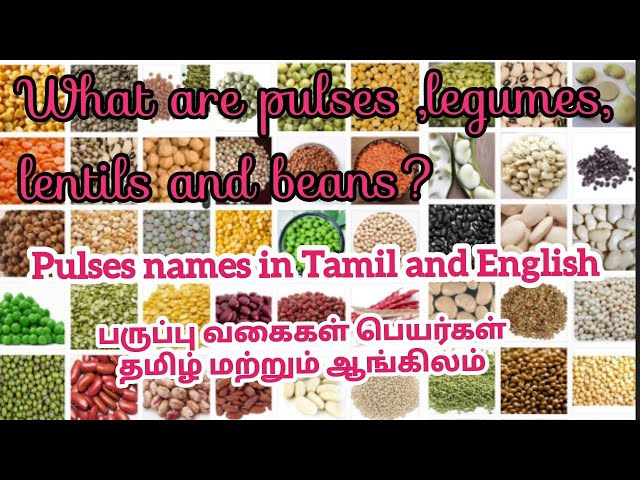 Lentils In Tamil