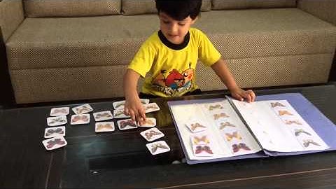 Moksh Busy With Visual Discrimination File Folder Activity: Matching Butterflies
