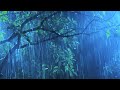 Sleep Hypnosis Within 3 Minutes to Fall Asleep Fast with Heavy Rain & Thunder in Rainforest at Night