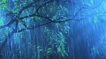 Sleep Hypnosis Within 3 Minutes to Fall Asleep Fast with Heavy Rain & Thunder in Rainforest at Night