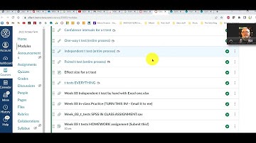t tests in Excel Problem 01 one way t test ANSWER VIDEO