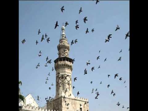 الأذان أرحنا بها يا بلال