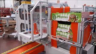 America - Filler Of Open Crates With Punnets - Riempitore Di Casse Aperte Con Cestini