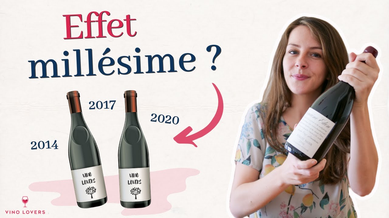 Pourquoi certains millésimes sont meilleurs que d’autres ?