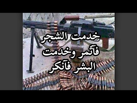 الصعيد الناس الرجوله خط الدمار والنار كلام تقيل خدمت الشجر فآثمر وخدمت البشر فآنكر رائد عادل الأسيوط