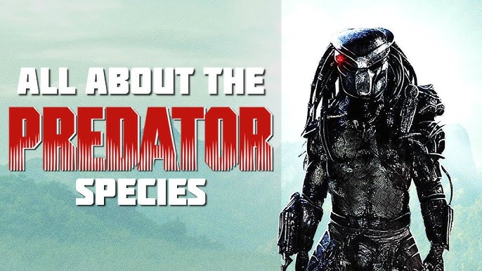 The 8 Predator Subspecies And Hybrids Explained 