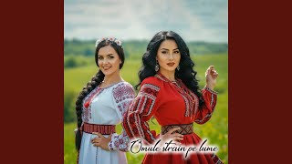 Omule Strain Pe Lume