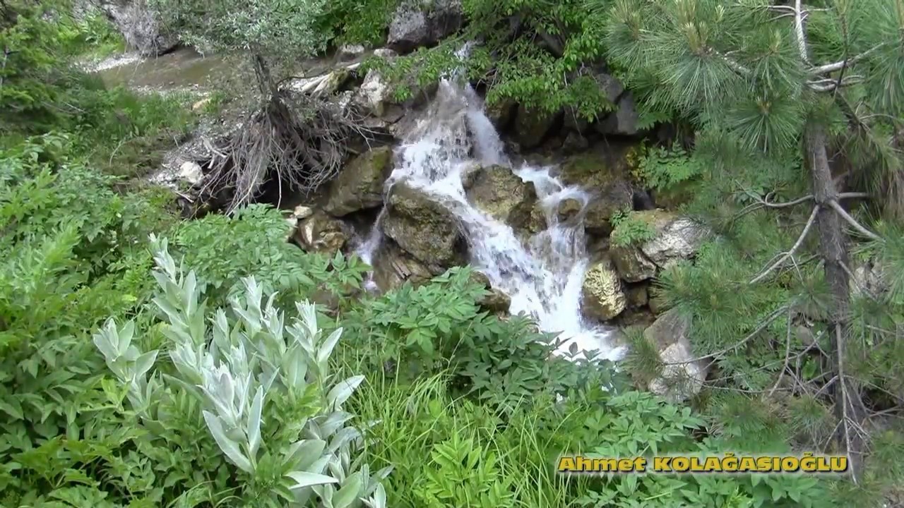 Çığşar Yaylası Doğal Hayat Belgesel Klibi