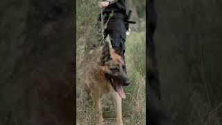 The Truth About Brian Shaffer's Disappearance