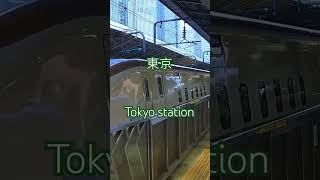 【東京駅新幹線ホーム】北陸新幹線出発　tokyo station　hokurikushinkansen　＃JR東日本 ＃JR東京駅　＃北陸新幹線